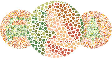 Are you Color Blind?